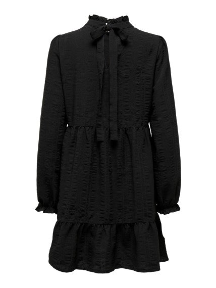 15305023 ONLkenya L/S O Neck Dress PTM