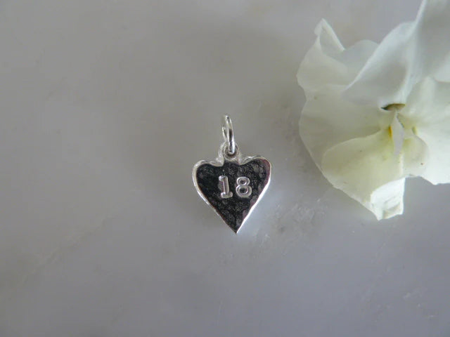 Mh501 Silver Charm