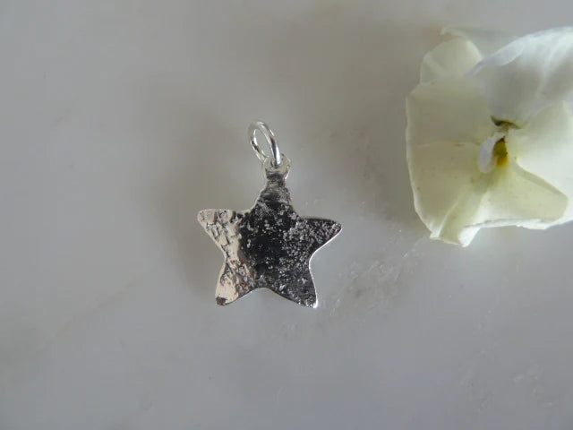 Mh501 Silver Charm