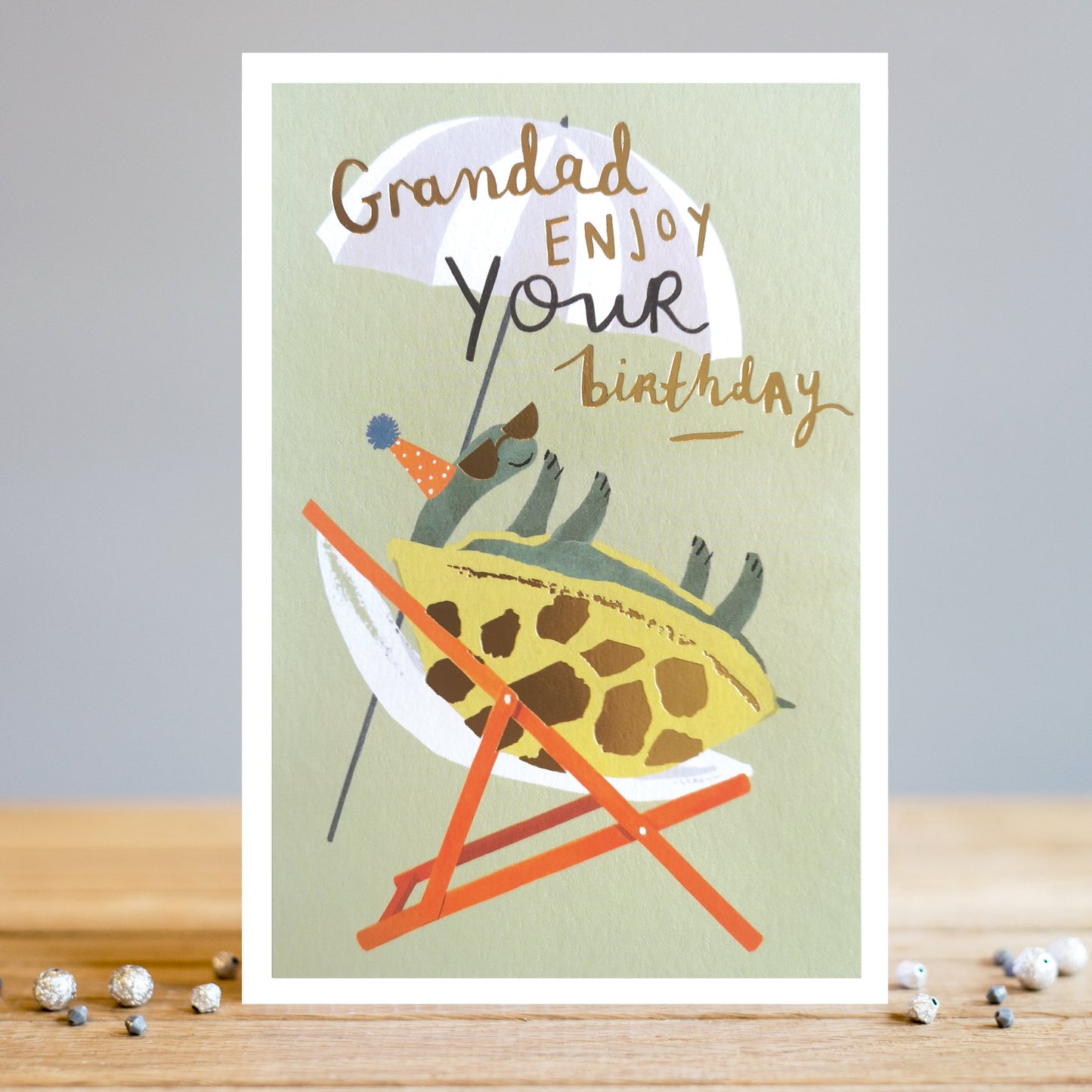 TS046 Birthday Card - Grandad Turtle