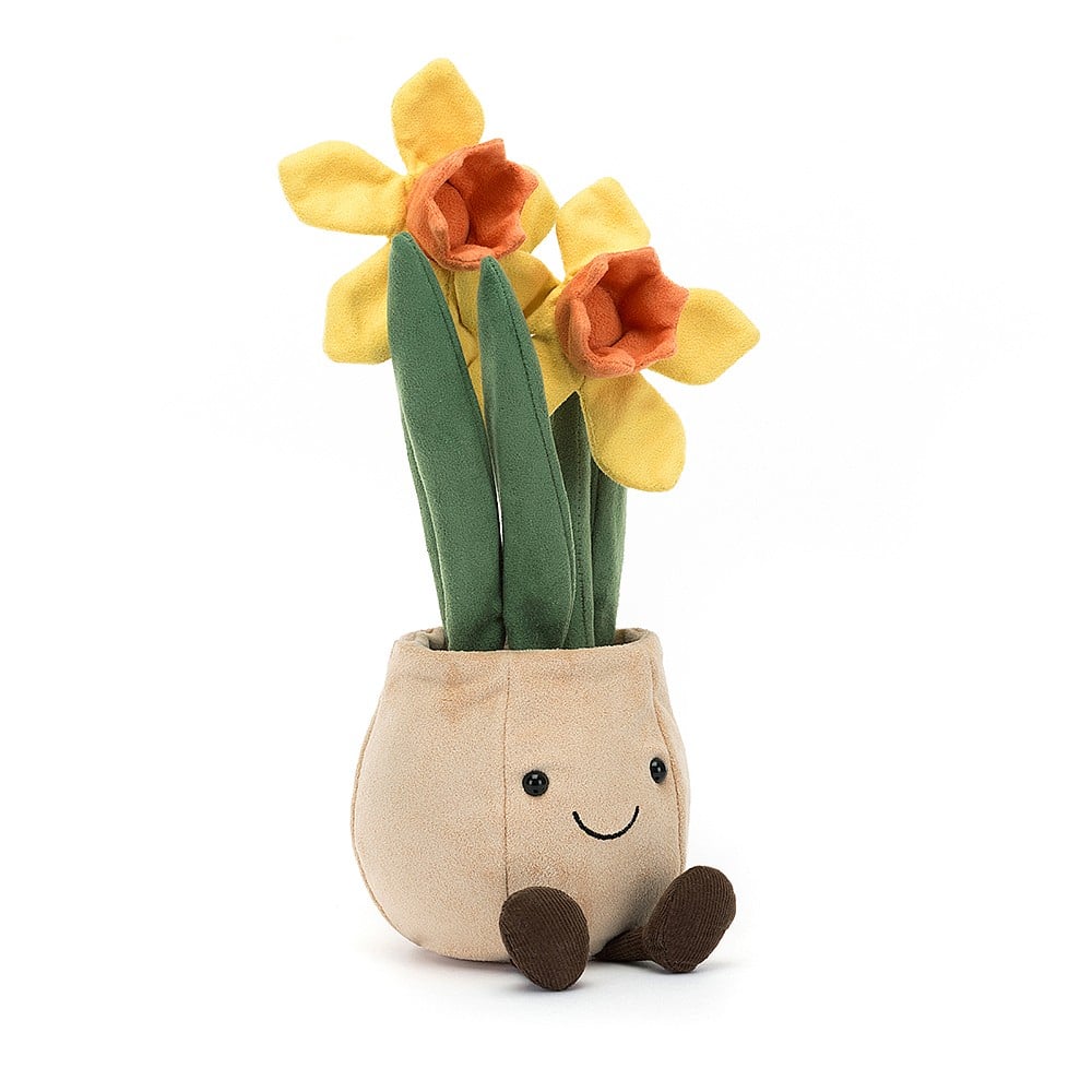 A2DP Amuesable Daffodil Pot