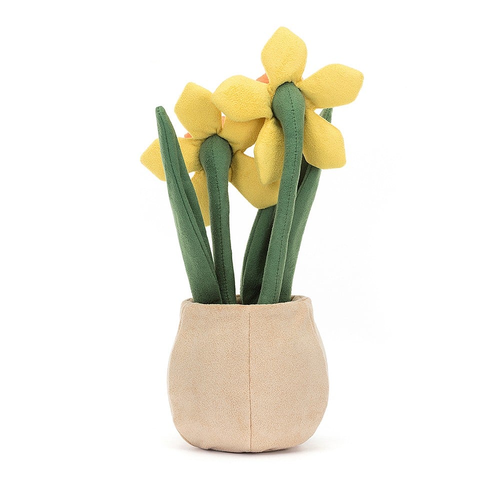 A2DP Amuesable Daffodil Pot