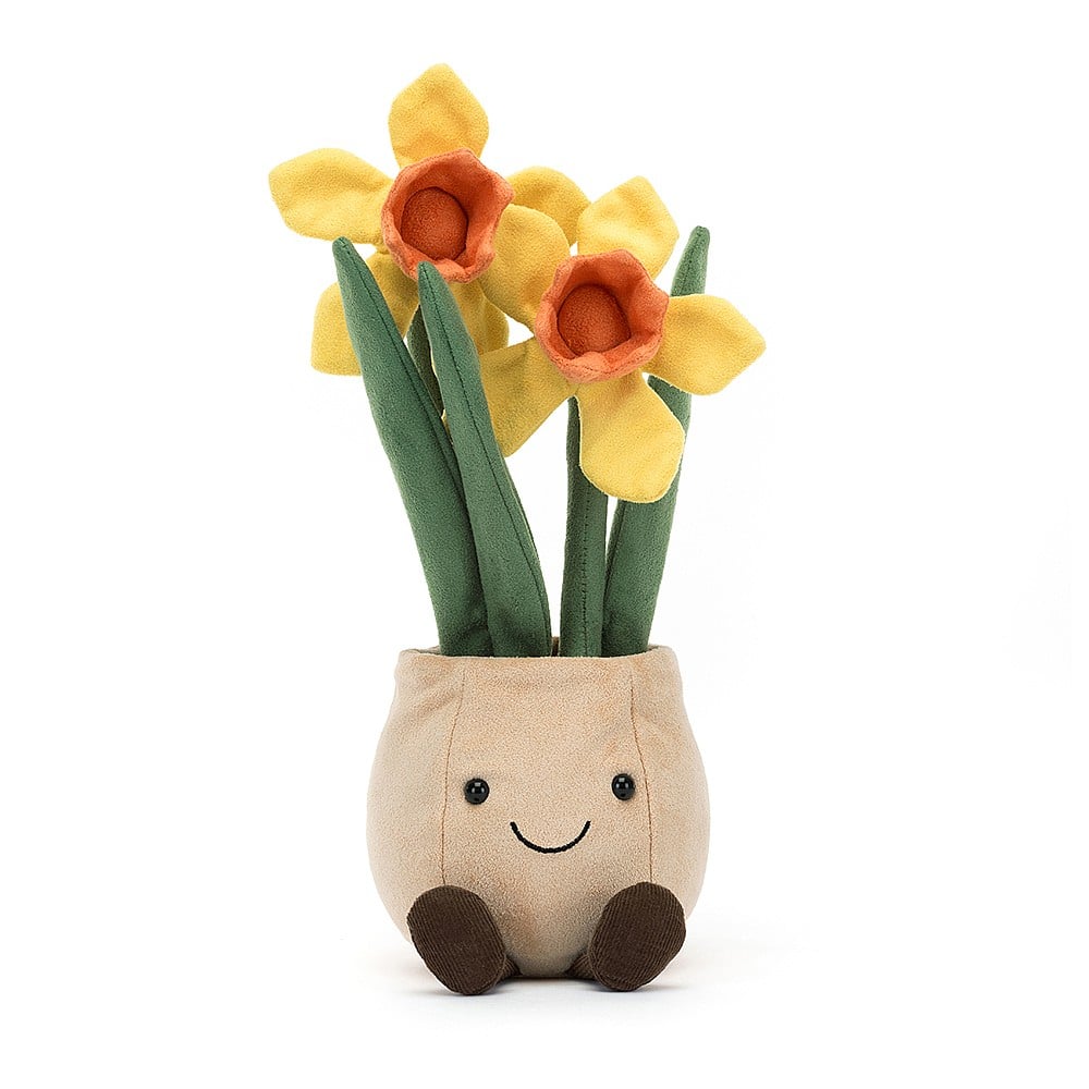 A2DP Amuesable Daffodil Pot