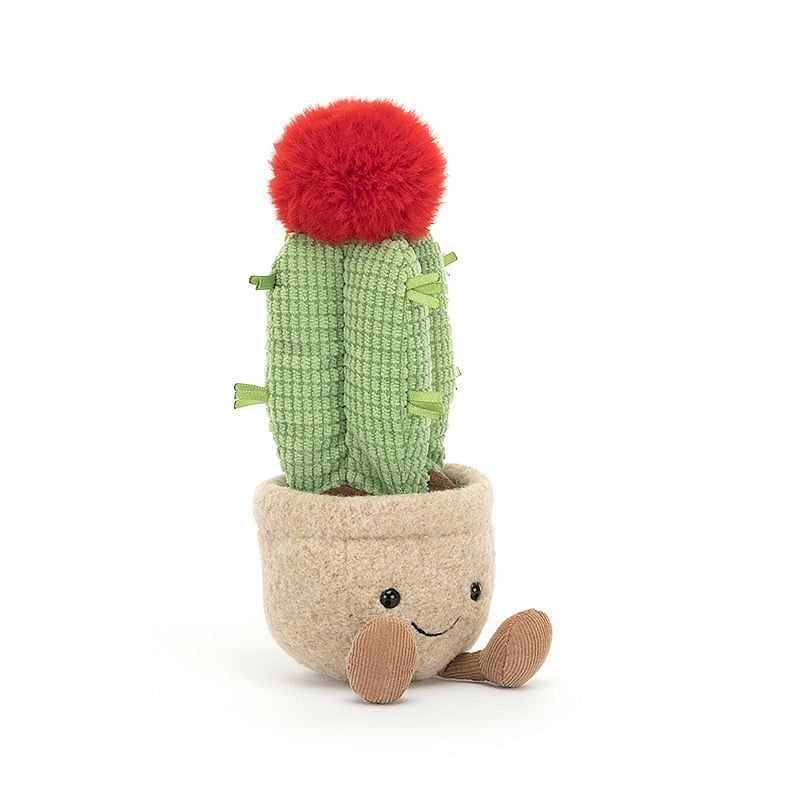 A6MCA Amuseable Moon Cactus