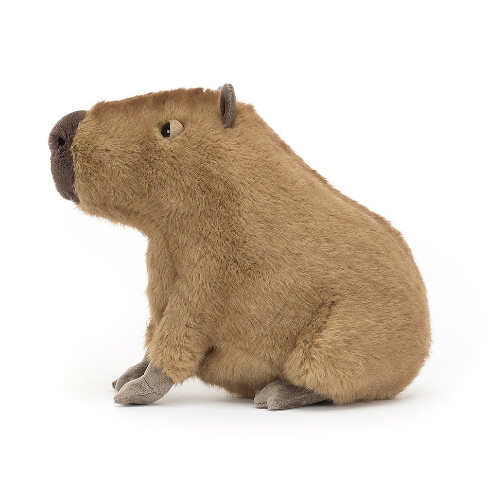 CLY6C Clyde Capybara