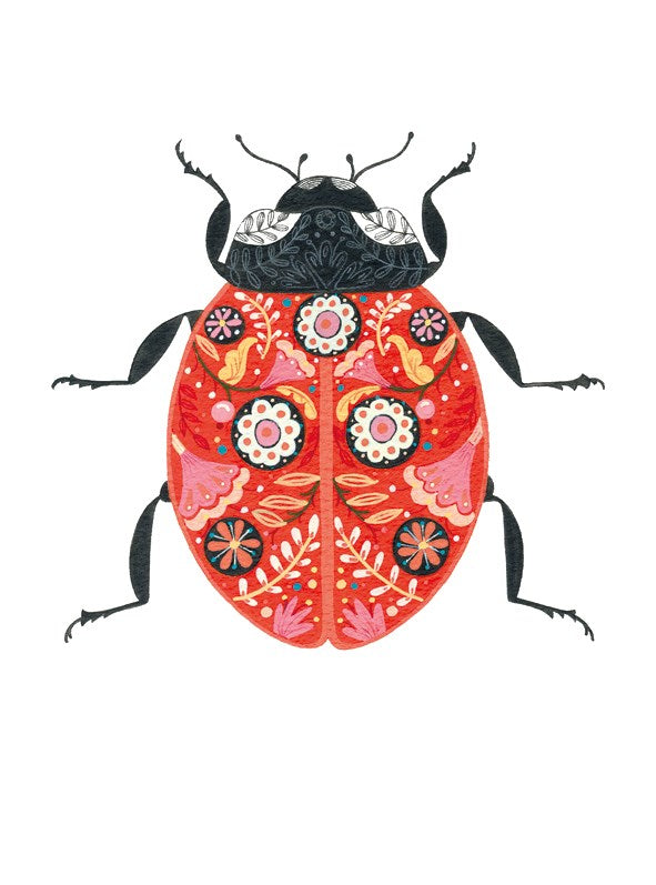 PN02A Floral Ladybird
